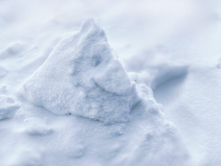 Smajlík - mládě sněhového skřítka